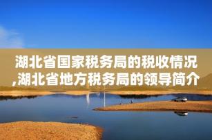 湖北省国家税务局的税收情况,湖北省地方税务局的领导简介-第1张-会计信息-希子网