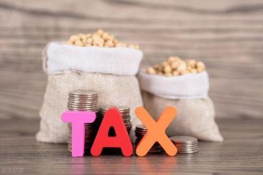 新税法下，个人所得税如何纳税筹划-第8张-会计信息-希子网