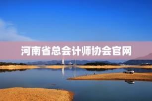 河南省总会计师协会官网 -第1张-会计信息-希子网
