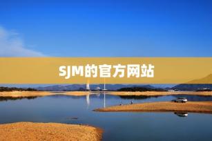 SJM的官方网站-第1张-会计信息-希子网