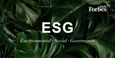 ESG专题 | 从理念到商业中的细节与秘密-第1张-会计信息-希子网