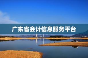 广东省会计信息服务平台 -第1张-会计信息-希子网