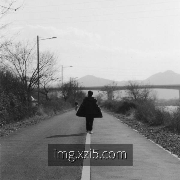 公共营养师培训：解锁健康生活的秘钥